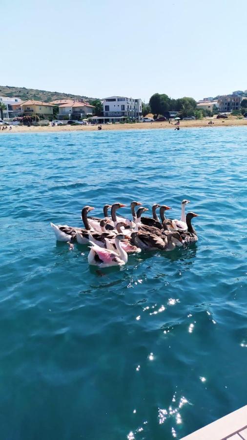 Ege Fener Otel Çeşme Esterno foto